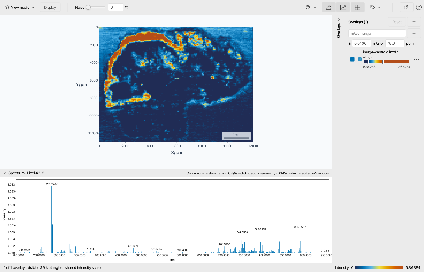 Image with scale bar